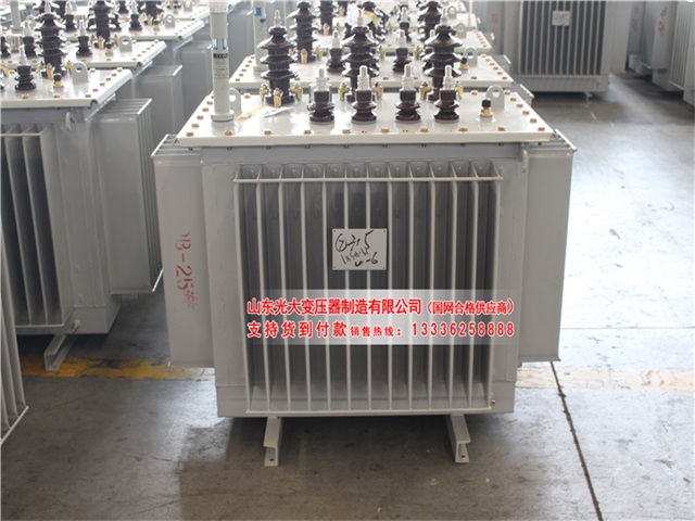 郴州S11-6300KVA油浸式变压器
